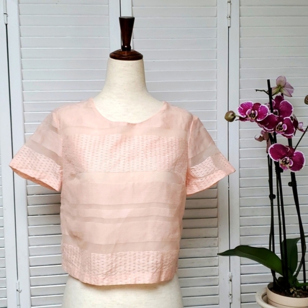 Jealous Tomato Peach Semi-Sheer Woven Mesh Crop Top Size Small.
